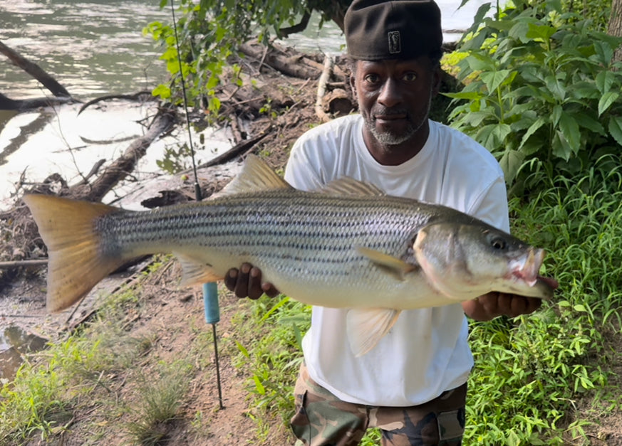 FishProCo Guide Services - Full Day Fishing Guide $850