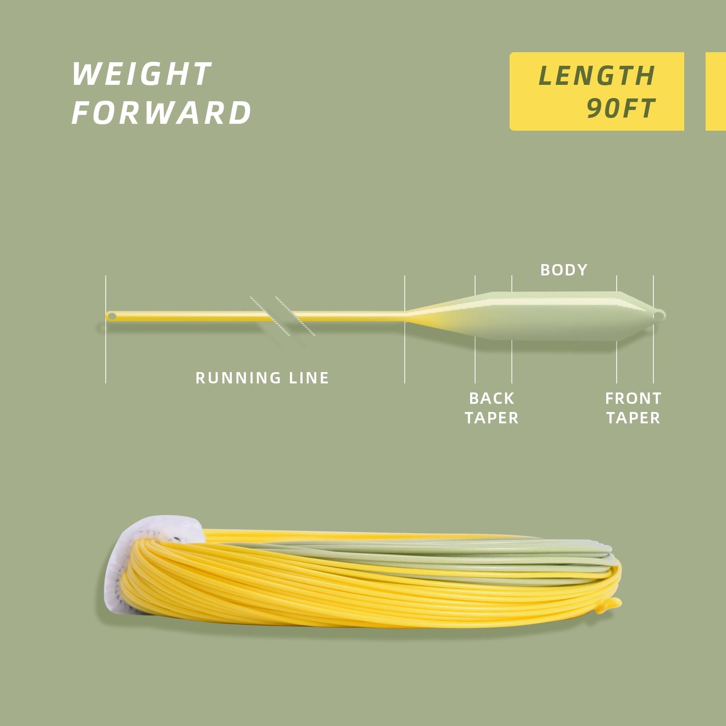 Weight Forward Floating Fly Line
