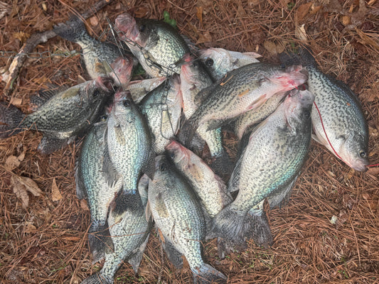Land Fishing Trip 2.5 Hr - Crappie & Blue Gill $300