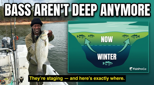 Land Fishing Guide - 4 hr Striped Bass